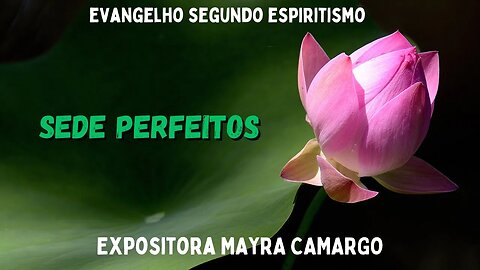 Sede Perfeitos (Cap. 17 de O Evangelho Segundo o Espiritismo)