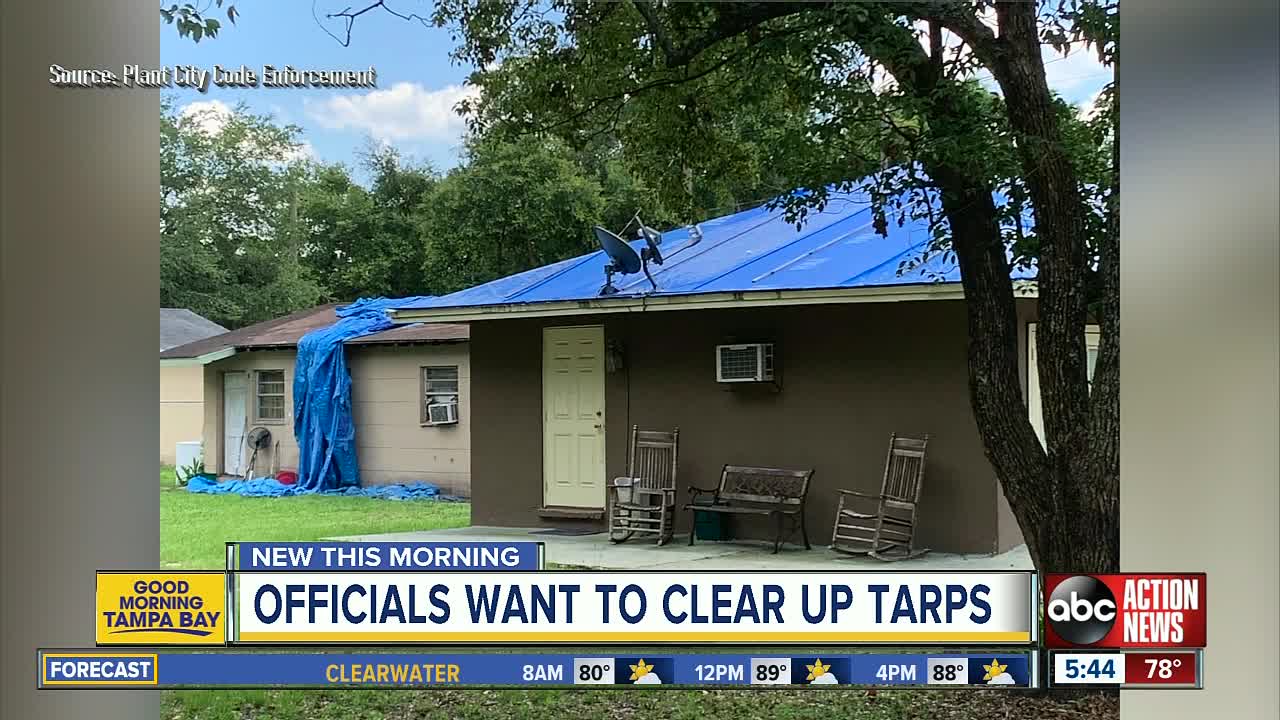 Push to clean up tarps and blight in Plant City