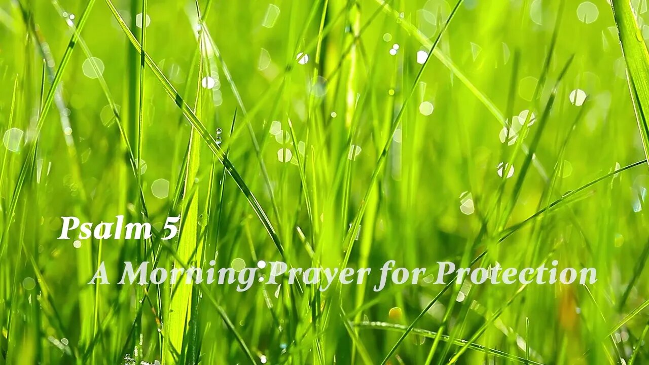 A Morning Prayer for Protection- Psalm 5 - Doa Pagi untuk Perlindungan - રક્ષણ માટે સવારની પ્રાર્થના