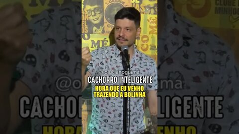 SEU CACHORRO É INTELIGENTE? #standupcomedy #shorts