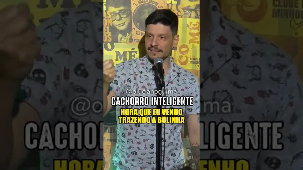 SEU CACHORRO É INTELIGENTE? #standupcomedy #shorts