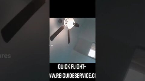 Finished and Sold- quick flight