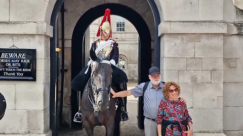 The horse don't wanna kiss and the dont touch the boot #thekingsguard