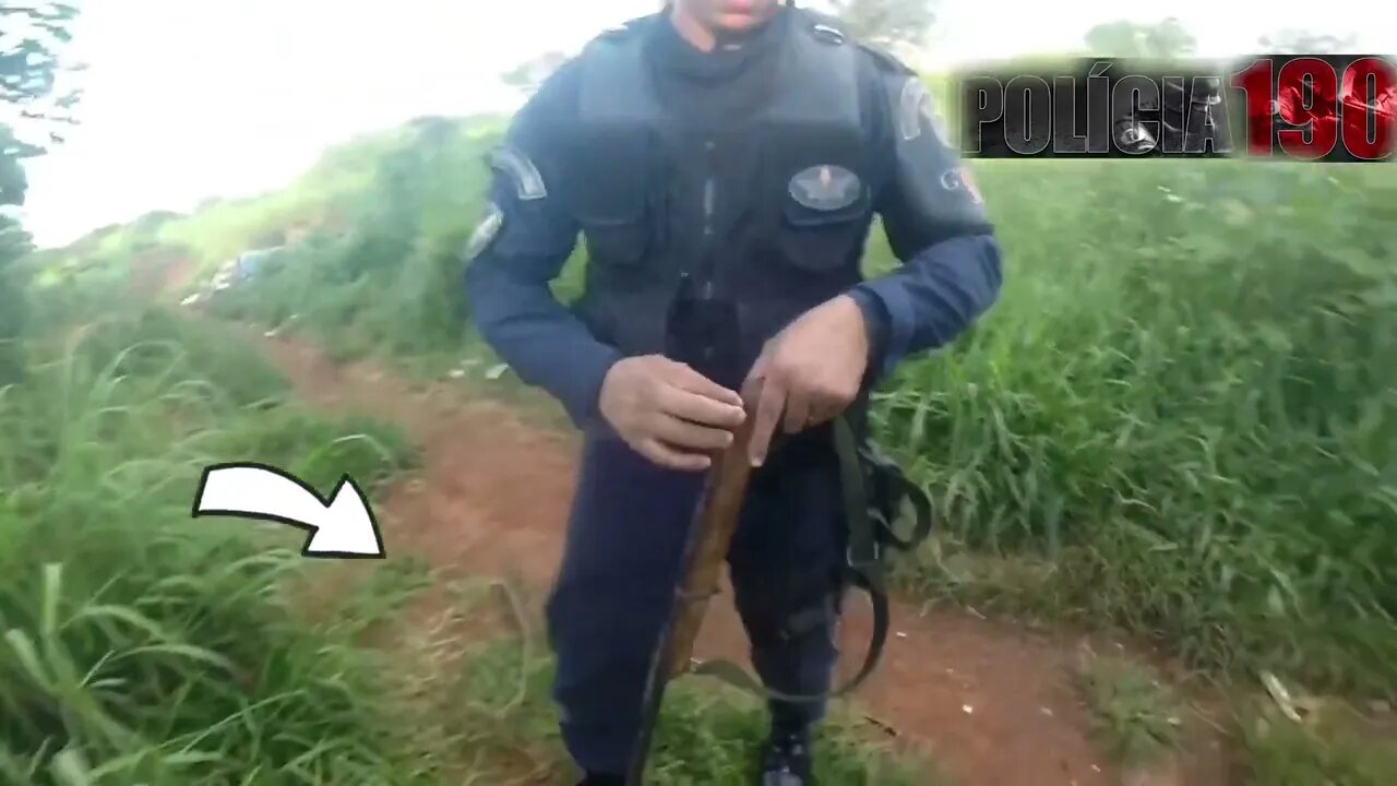 ARMAS APREENDIDAS E PRISÕES EPISÓDIO 1