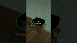 I broke into a house during the day
