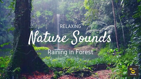Sleep Sounds - Relaxing Rain & Meditation - 4hrs
