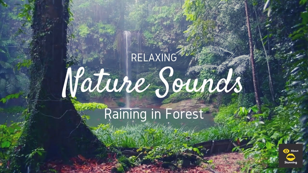 Sleep Sounds - Relaxing Rain & Meditation - 4hrs