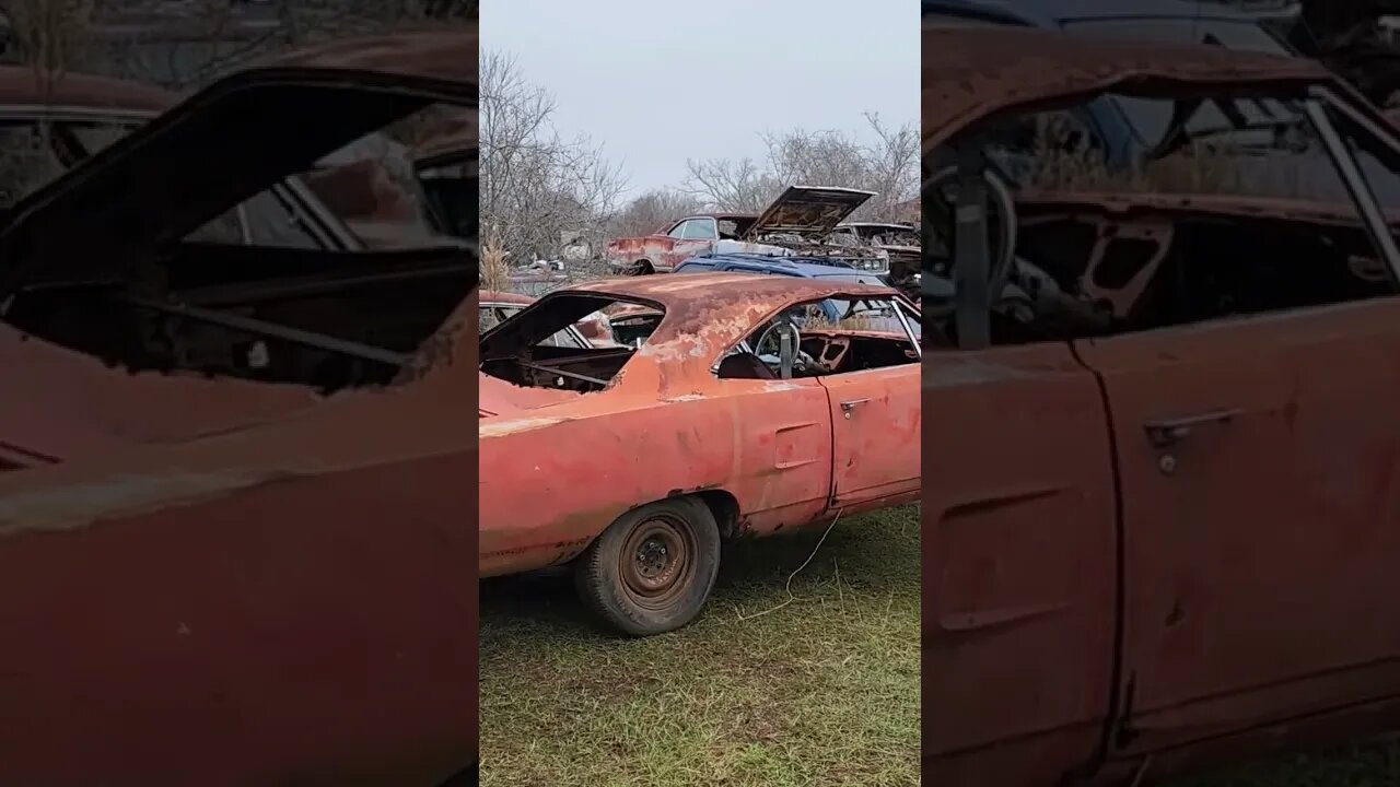 Pullin out of the junkyard, #1970plymouthsportsatellite junkyard rescue video is up.#justdriveit