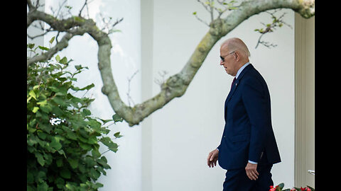 People Say This Photo of Biden at Beach Is 'Perfect Visual for a Declining Nation'