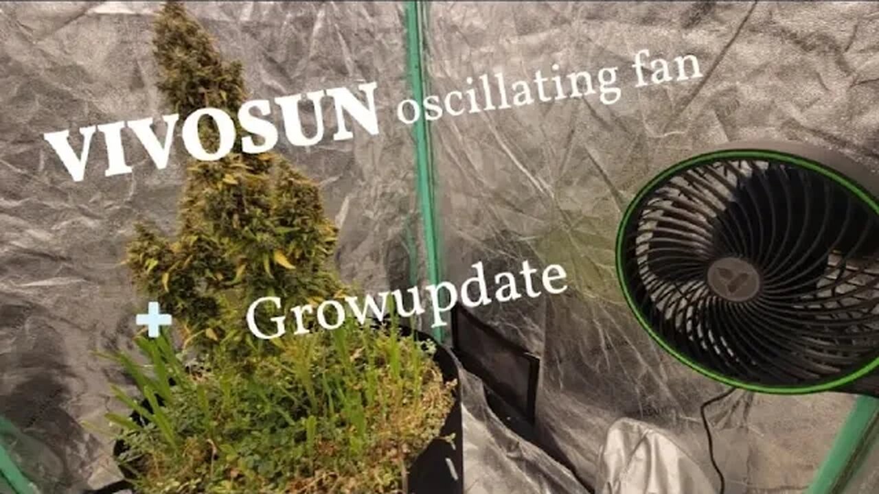 New Oscillating Fan and grow updates