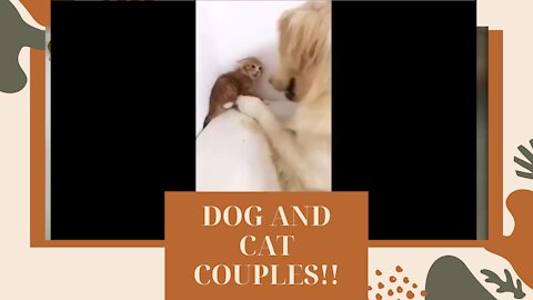 DOG AND CAT COUPLES