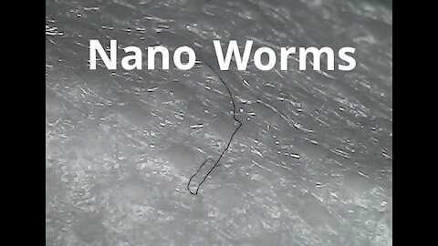 Nano Worms Blue Face Masks