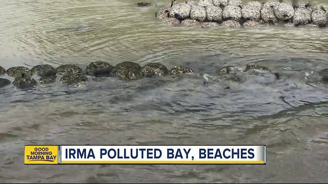 Hurricane Irma polluted our bay, beaches; help needed for big clean-up this weekend