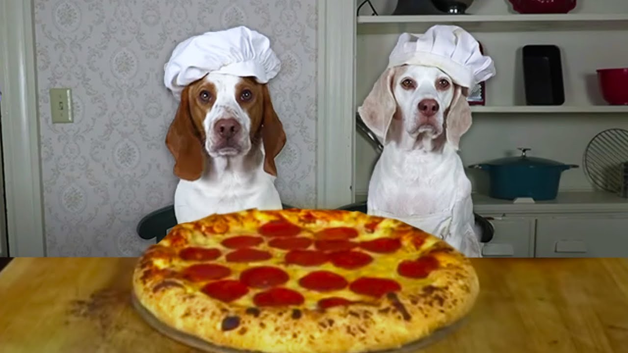 Dogs Make Pizza- Funny Chef Dog