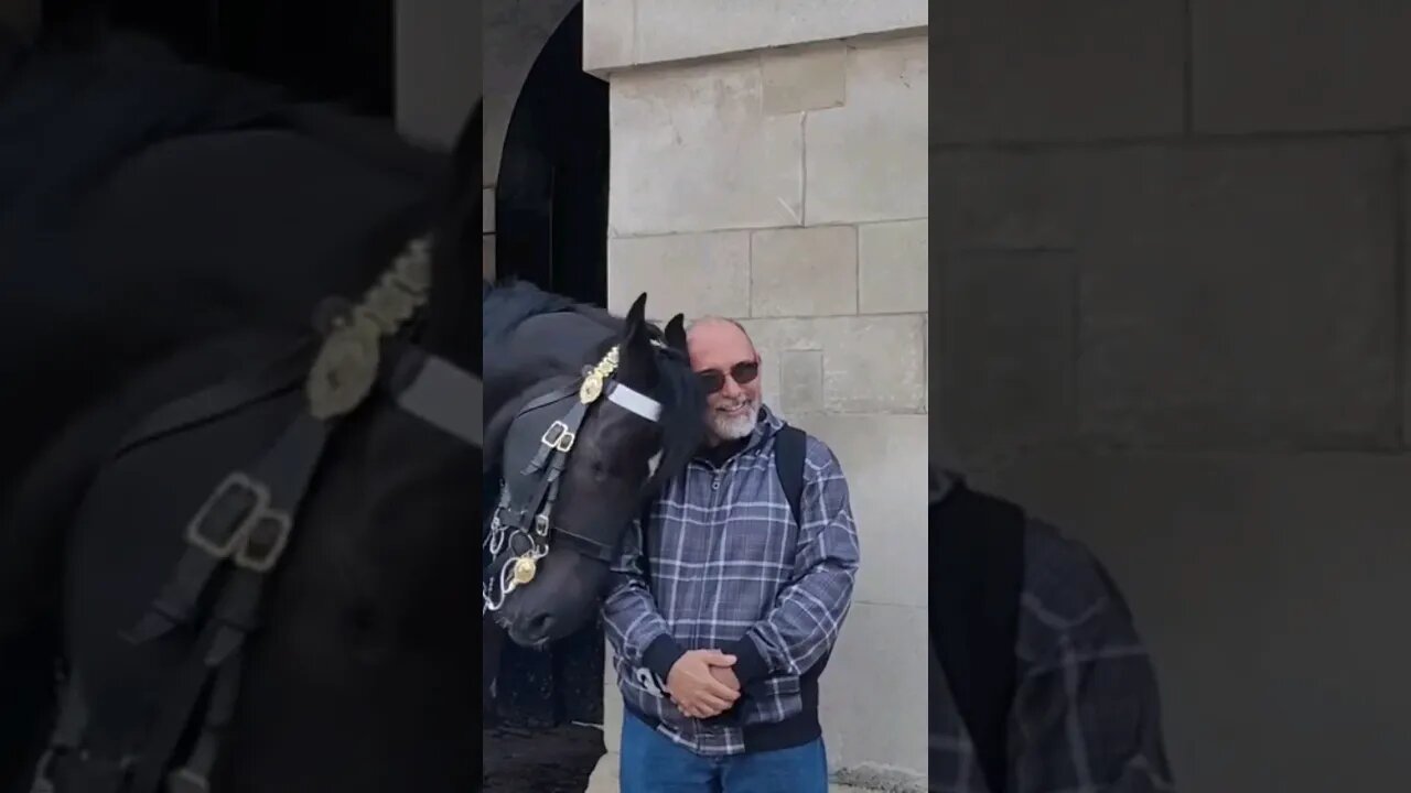 The kings guards horse shows a lot of love #horseguardsparade