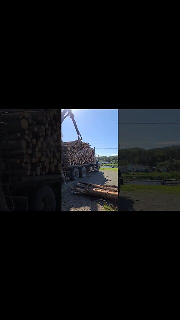 crane lifting firewood logs #shorts