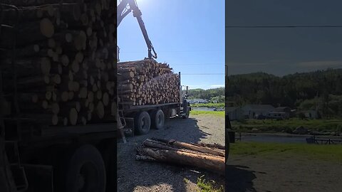 crane lifting firewood logs #shorts