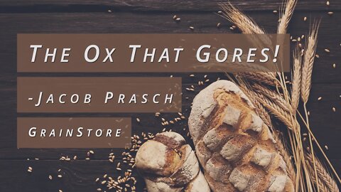 The Ox That Gores! | Jacob Prasch