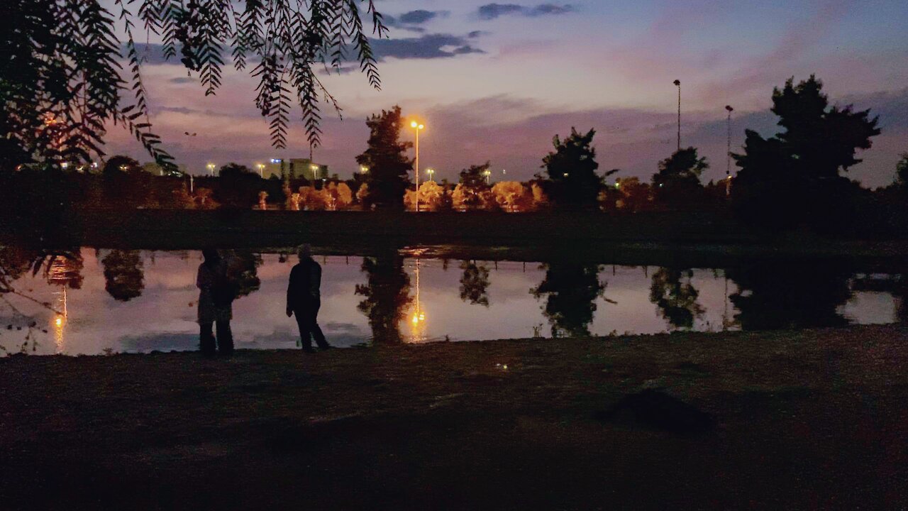 JUST Pelican Lake بحيرة البجع جامعة التكنو
