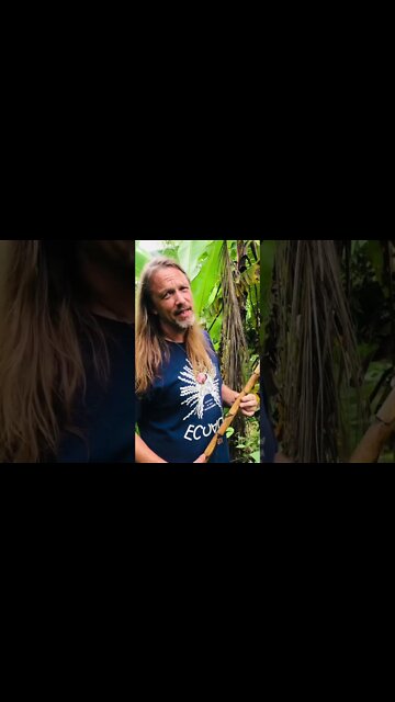 Natural Bug Repellent Made of Bugs #nature #natural #jungle