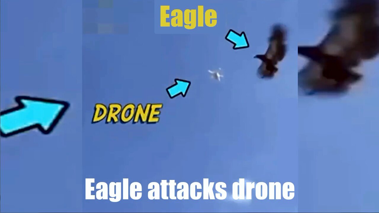 Eagle attacks drone - AMAZING!