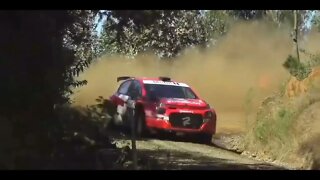 WRC RALLY = SEE WHAT HAPPENS DURING THE VIDEO = Léo Sócrates