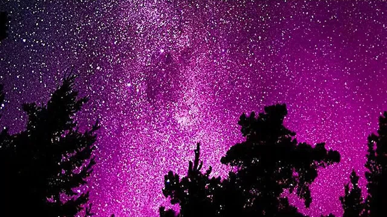 Whispering Woods Secrets of the Enchanted Forest