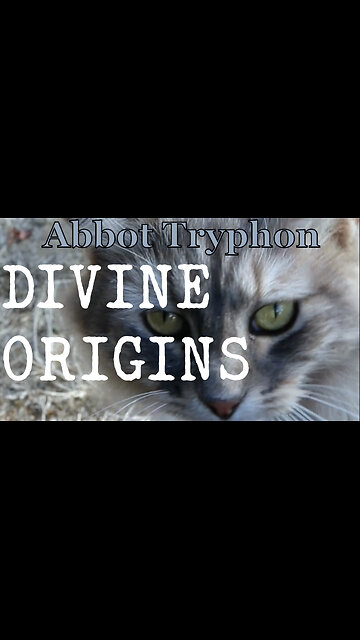 Divine Origins
