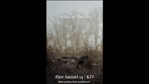 1 SAMUEL 14 | KJV