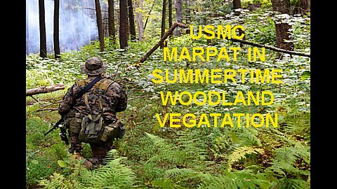 MARPAT IN SUMMERTIME WOODLAND VEGITATION