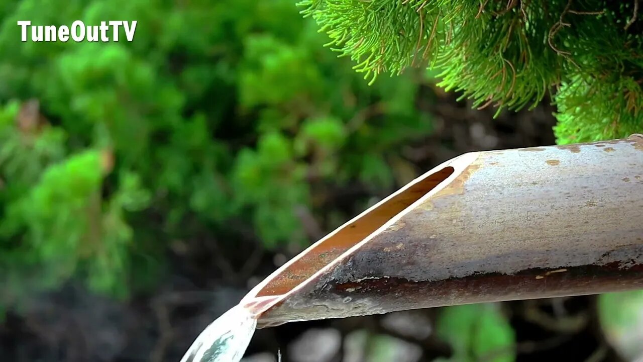 Soothing sound of water flowing and dripping from a bamboo pipe | ASMR | Water Ambient White Noise