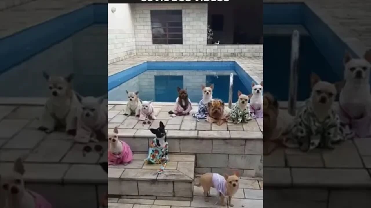 festa na piscina