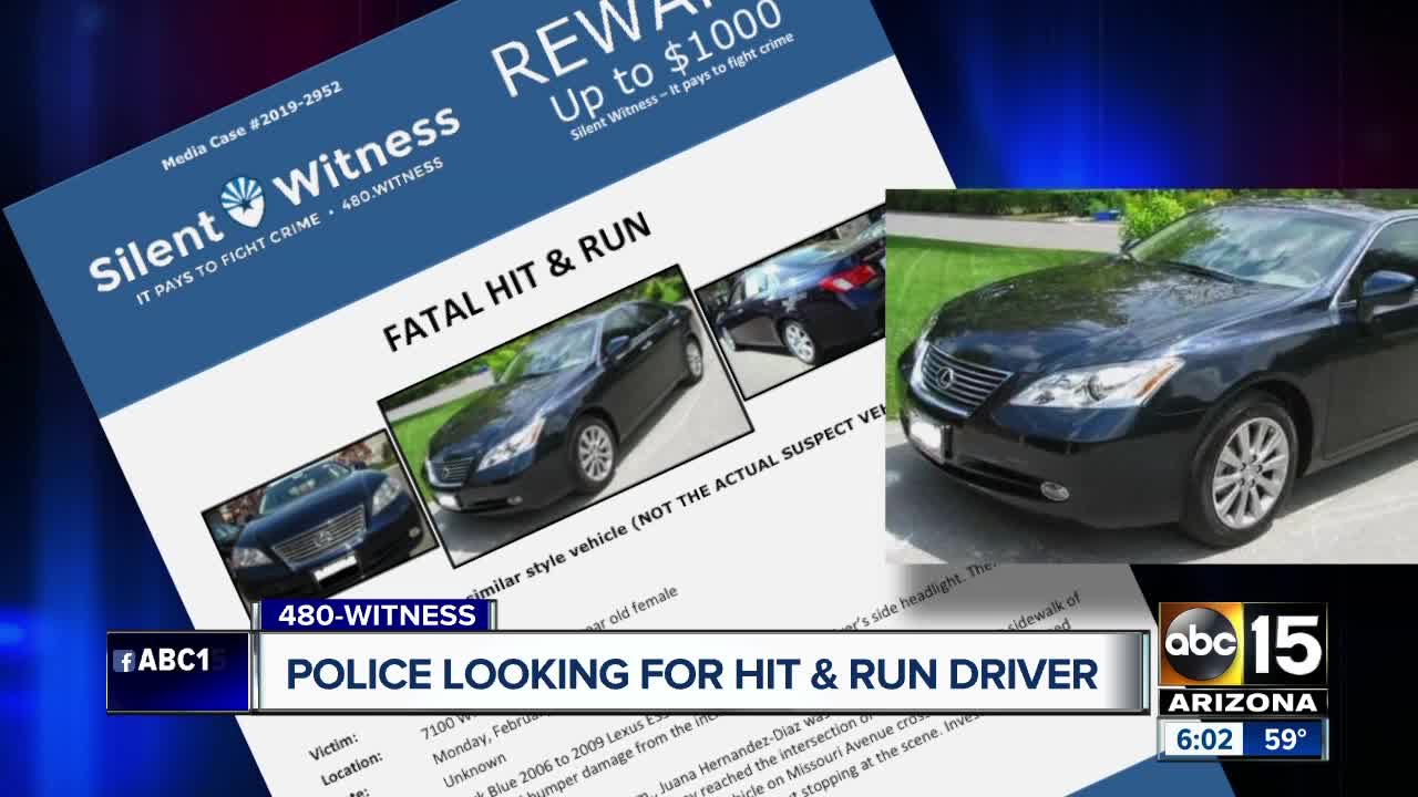 Police looking for hit-and-run driver