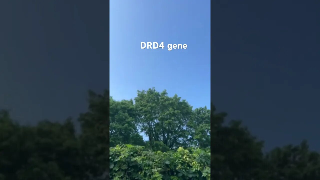 Autism and ADHD gene #adhd