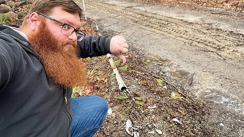 Pruning Trees and Finding Underground Electric Wires