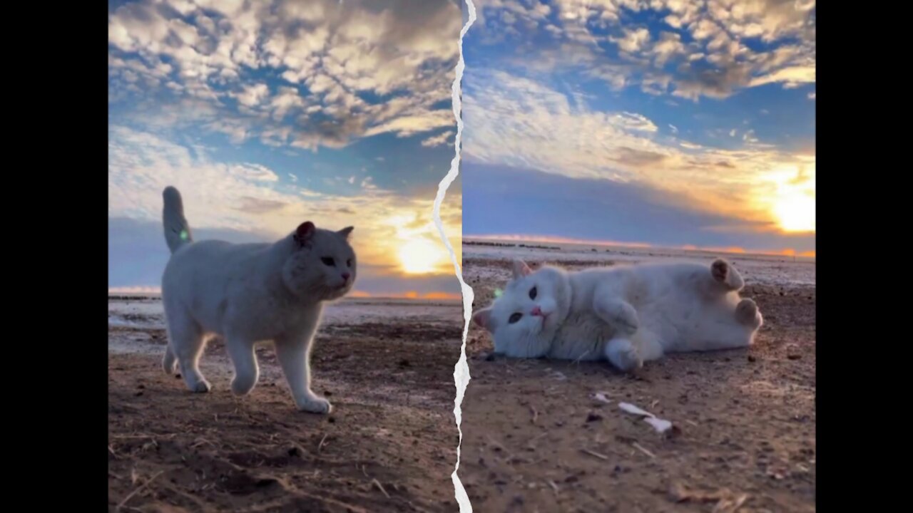 I’m finishing off work at this moment~ Relaxing moment