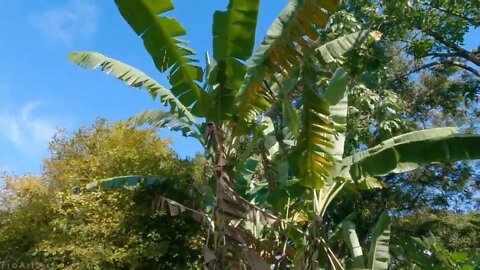 Incredible $ views of Hawaii's tropical islands