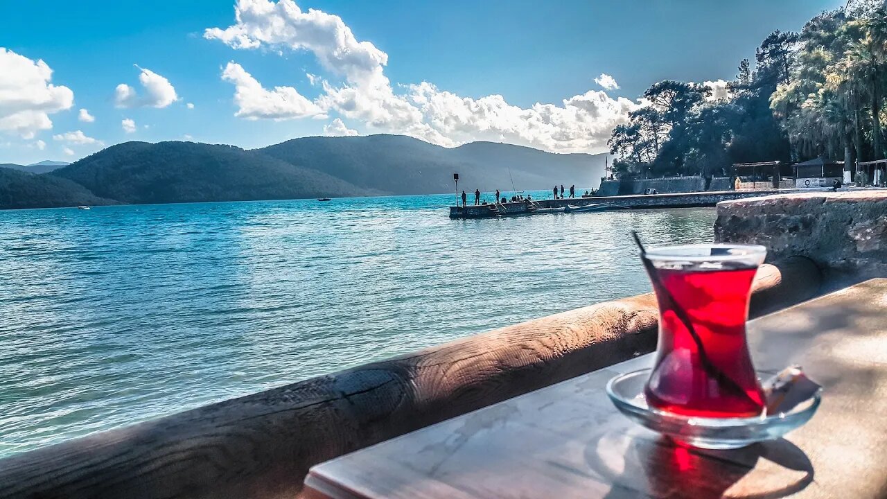 Dormindo à beira do lago sob o luar 4K • Sons relaxantes da natureza