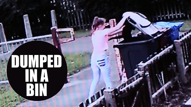 Cruel teen is caught on CCTV lobbing cat in bin