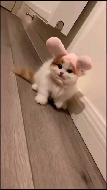 Let's dance, so cute