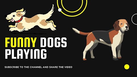 Music video with scenes of funny dogs playing