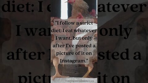 Funny Quotes Volume 19