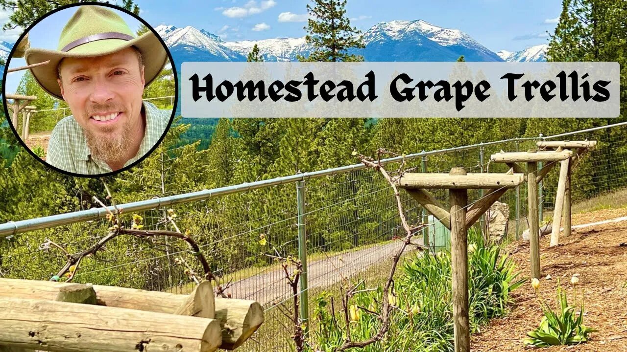 DIY Homestead Grape Trellis / Alaska Prep