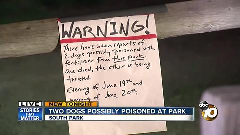 Two dogs possibly poisoned at park