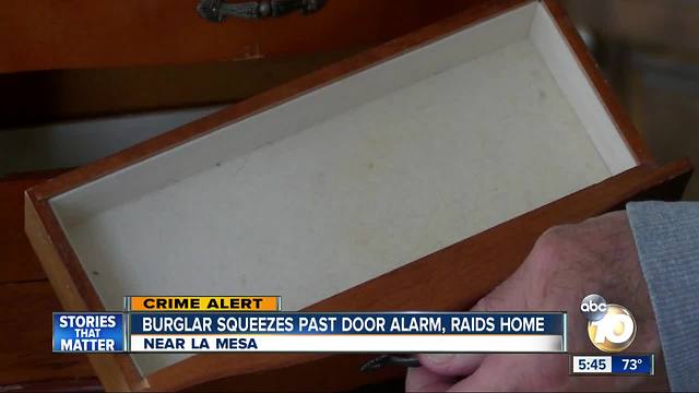 Burglar squeezes through La Mesa doggie door, raids jewels