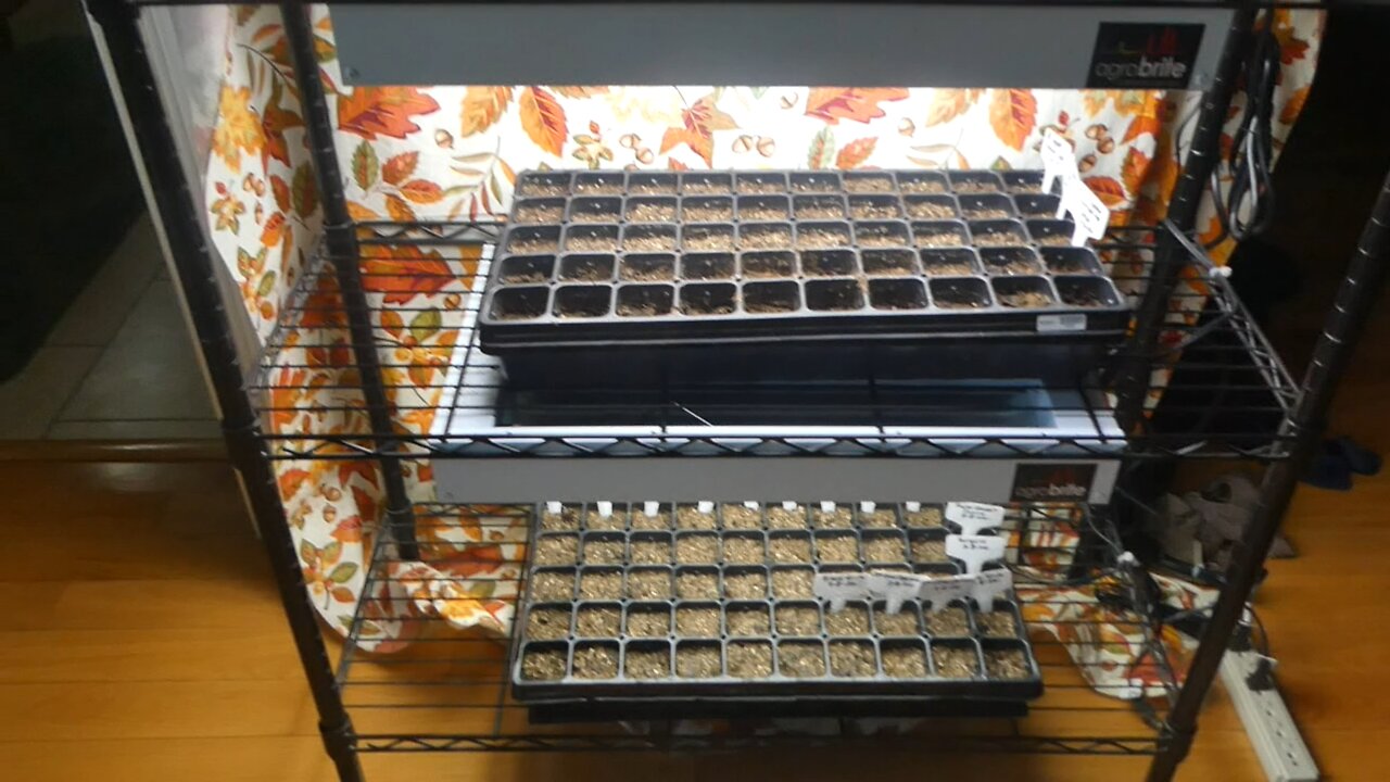 SEED STARTING (Grow Room)