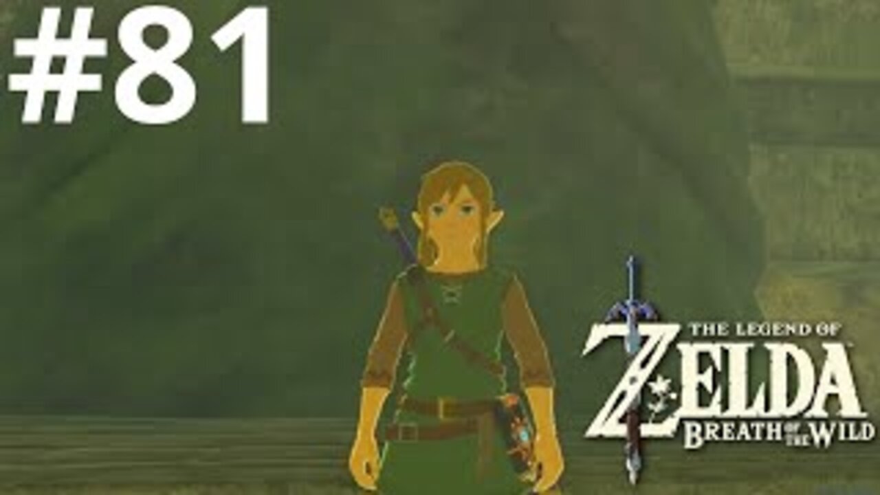 Completing All Shrines| The Legend of Zelda: Breath of the Wild #81