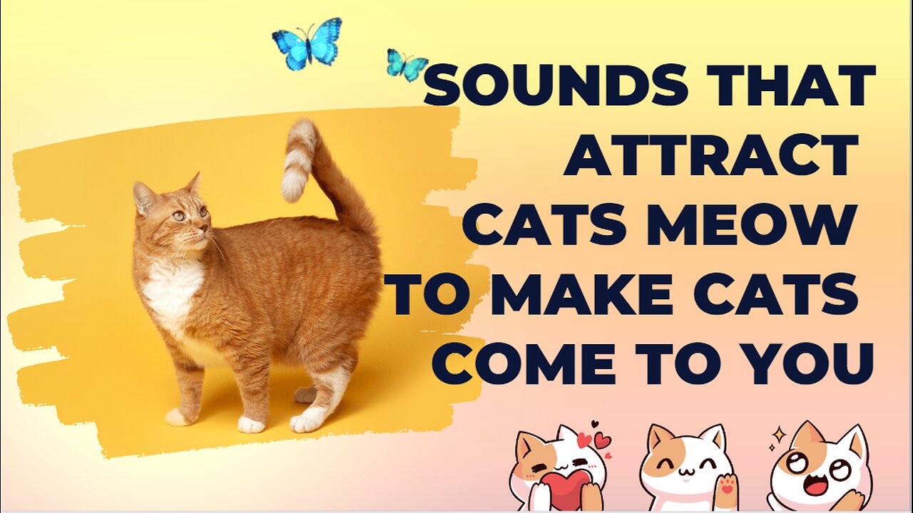 Sounds that attract cats Meow to make cats come to you