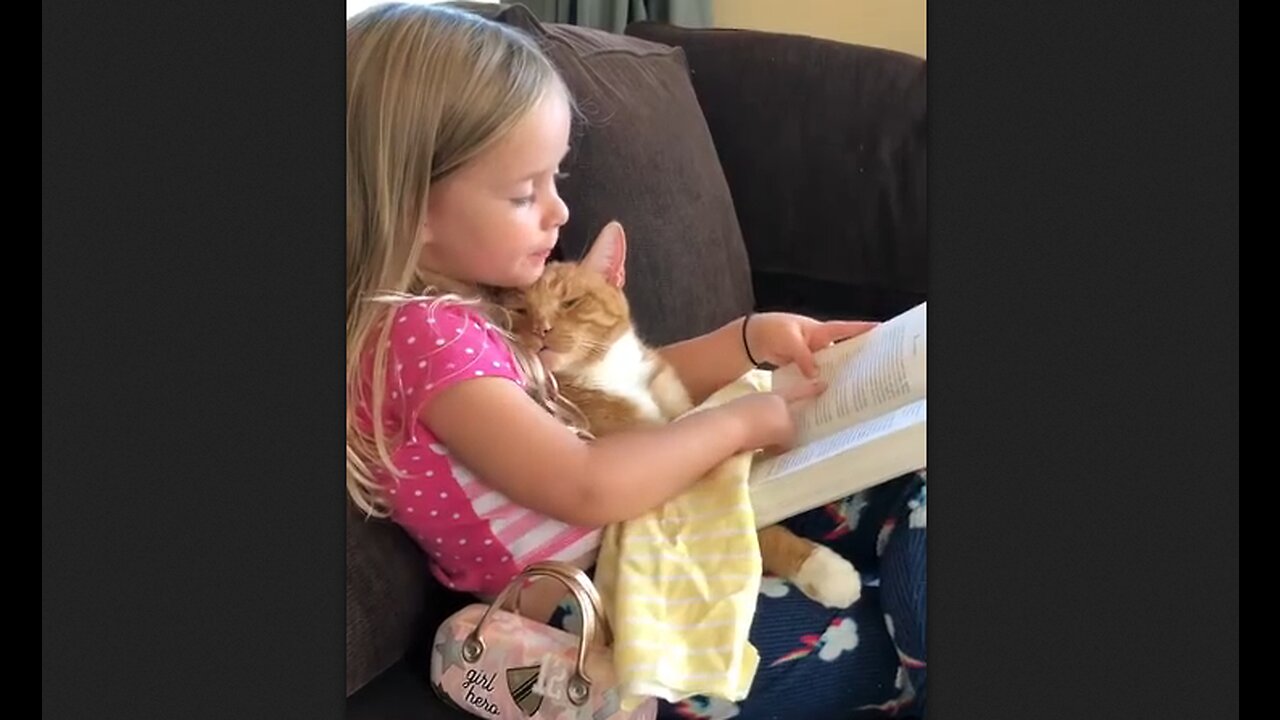 Little Lady Reading A Story To Her Cat - HaloRock