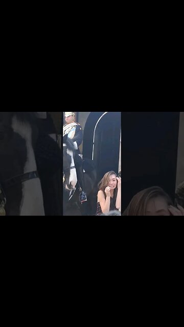 A photo of fear #horseguardsparade